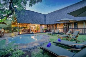 Unveiling the Enchanting World of Needles Lodge South Africa Africa Unveiled: Nature, Culture, and History Unveiling the Enchanting World of Needles Lodge South Africa | Africa Unveiled: Nature, Culture, and History