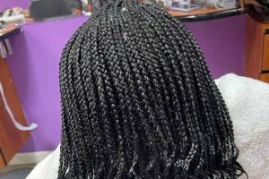 Unveil the Secrets of African Hair Braiding in Newark, DE Africa Unveiled: Nature, Culture, and History Unveil the Secrets of African Hair Braiding in Newark, DE | Africa Unveiled: Nature, Culture, and History