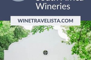 Unveiling the Gems: A Journey to South Africa's Finest Wineries Africa Unveiled: Nature, Culture, and History Unveiling the Gems: A Journey to South Africa's Finest Wineries | Africa Unveiled: Nature, Culture, and History