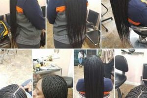 Uncover the Secrets of Kotos African Hair Braiding: A Journey to Beauty and Empowerment Africa Unveiled: Nature, Culture, and History Uncover the Secrets of Kotos African Hair Braiding: A Journey to Beauty and Empowerment | Africa Unveiled: Nature, Culture, and History